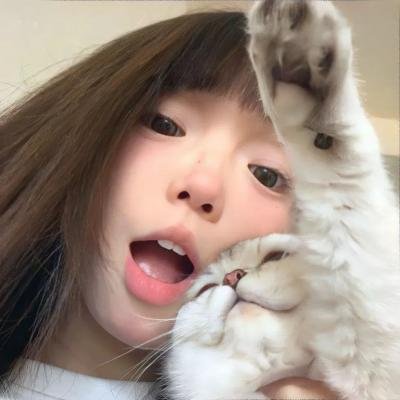 母牛总动员